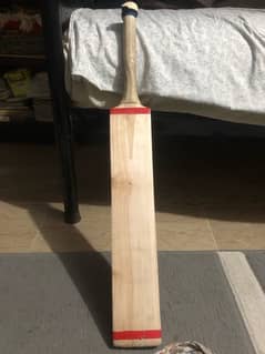 cricket hardball kit