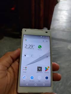 Sony Xperia z5 compact PTA proved