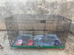 Cage for sale