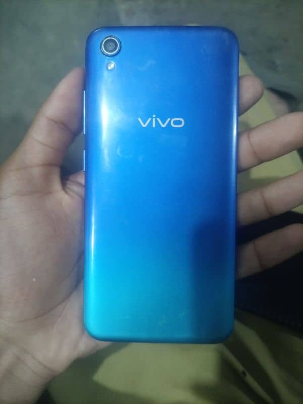 vivo . 0