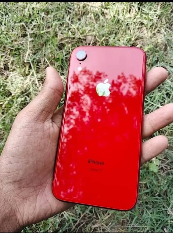 iphone xr pta approved 2