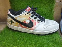 Nike SB Rayguns