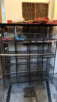 cage for birds