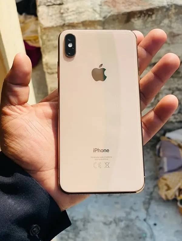 IPhone XS Max Dual PTA 2