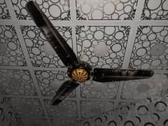 Ceiling fan