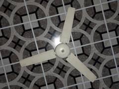 ceiling fan