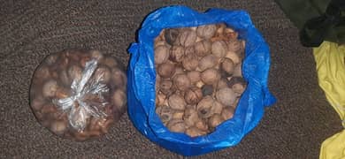 Dryfruits