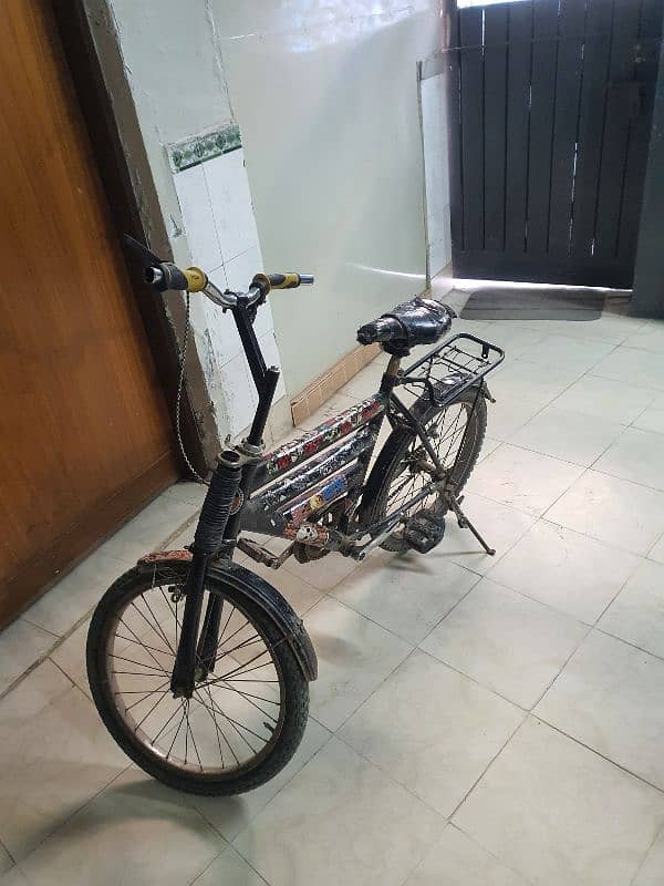 Medium Size Bicycle 1