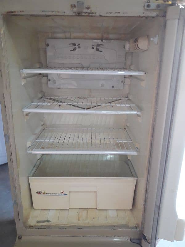 fridge 3