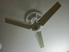 ceiling Fans