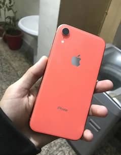 Iphone xr non pta jv