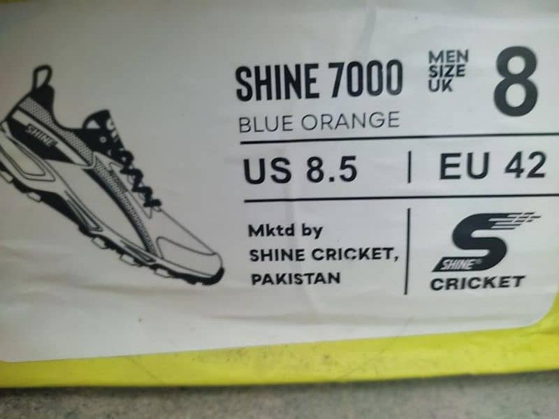 SHINE SPORT SHOES 3