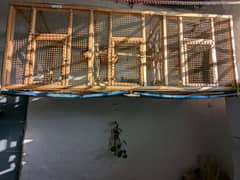 Wooden Cage for Birds