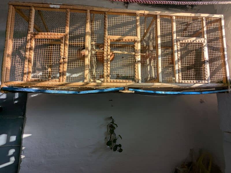 Wooden Cage for Birds 0