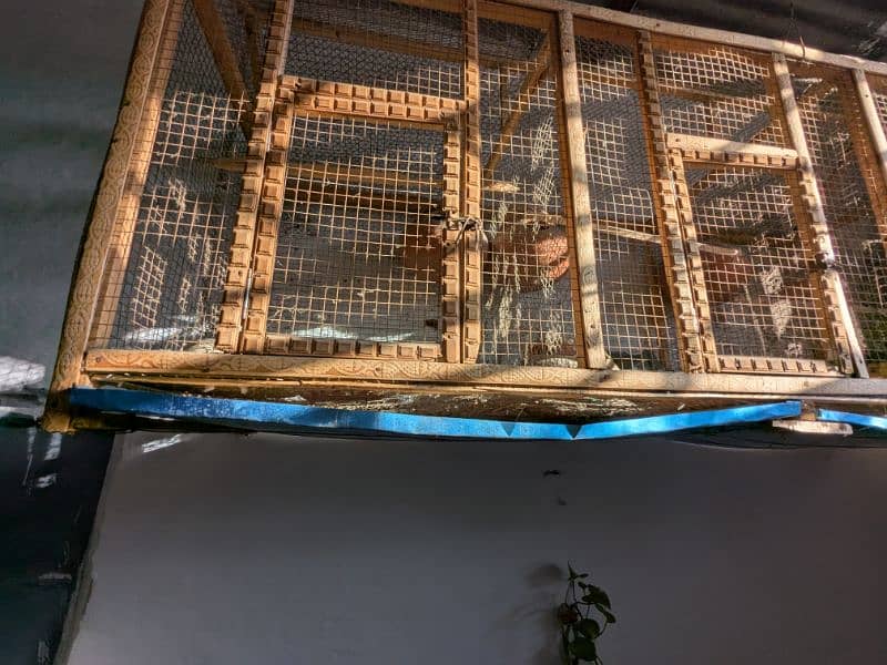 Wooden Cage for Birds 3