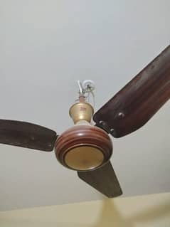 Celling Fan