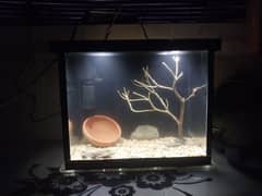 small table fish aquarium for sale