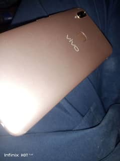 vivo