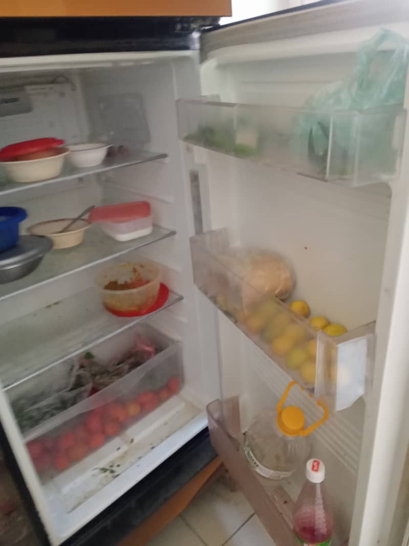 Pel fridge for sell 2