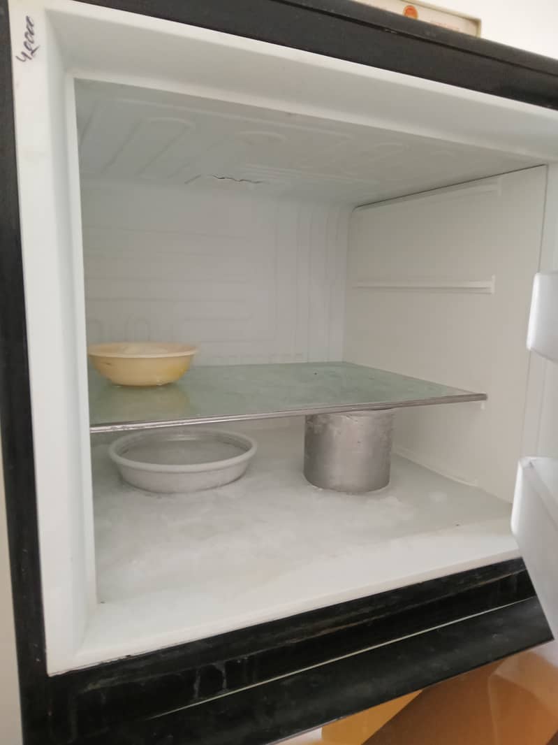 Pel fridge for sell 4