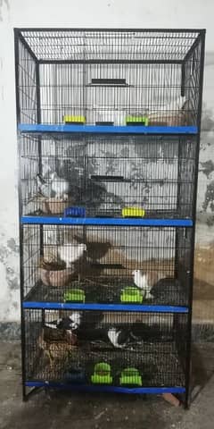 Cages For Sale