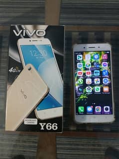 Vivo Y66 PTA Approved With Box