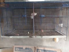 birds cage