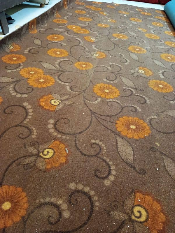 Elegant Brown Carpet 1