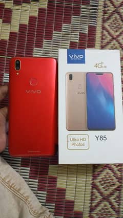 Vivo