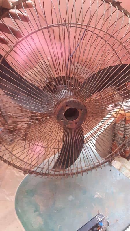 12 volt Dc fan 1