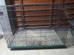 Parrot 3 x 2x 2 Cage for sale