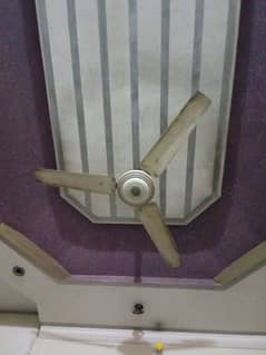 fan for sale