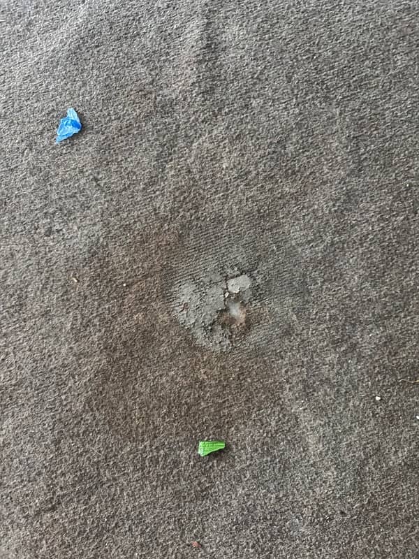 Brown used carpet 0