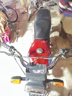 Union Star 70cc 2021