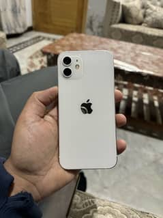 IPHONE 12 Non Pta (JV)