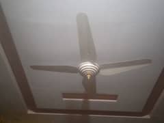 Ceiling fans