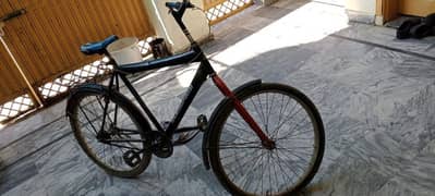 gear bicycle urgent for sale