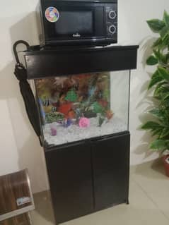 Fish aquarium 10/10 condition