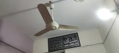 Fan for sell