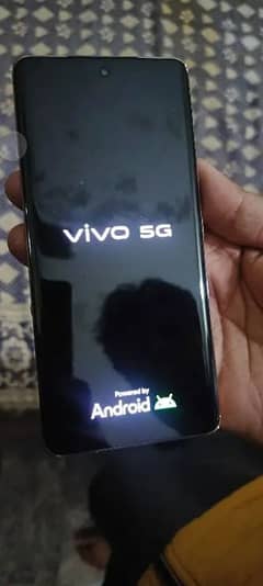 vivo v40e 8/256