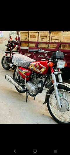 Honda 125 2024/25