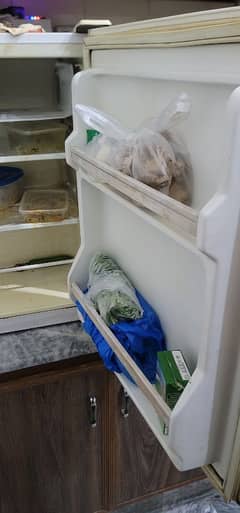 Room Fridge