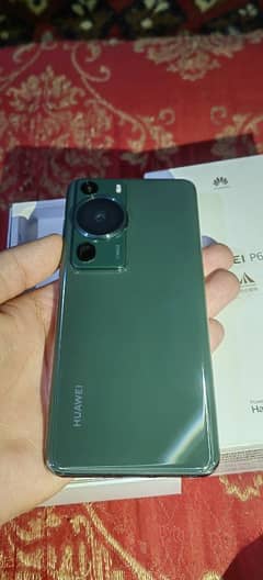 Huawei p60 pro 12 512gb