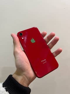 iPhone XR 256gb non pta Face ID off