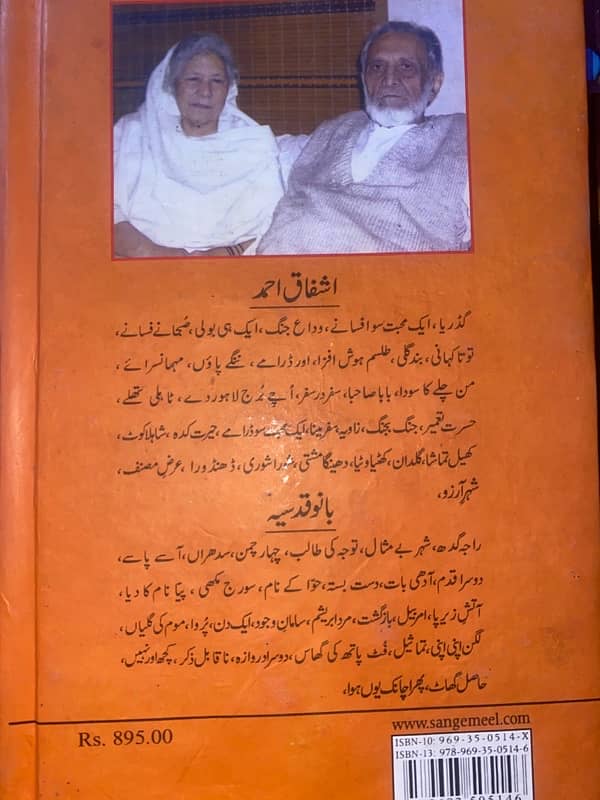 raja ghidh novel 2