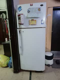 Refrigerator Super General UAE Specs