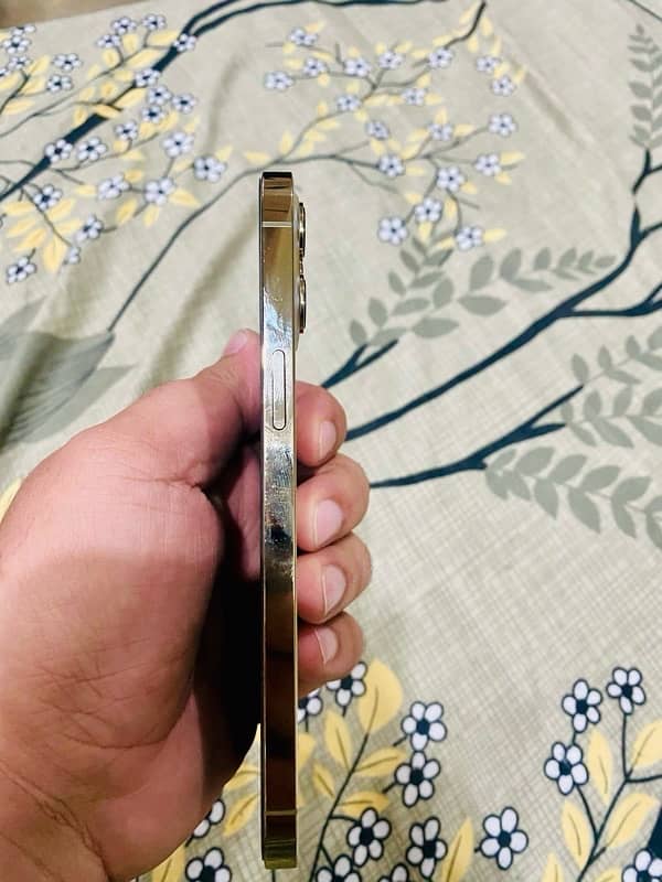 Iphone 12 Pro Max 256 gb Dual PTA Approve Gold Colour 3