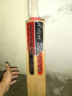 1 cricket bats 1 cricket pad