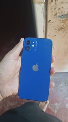 i phone 12