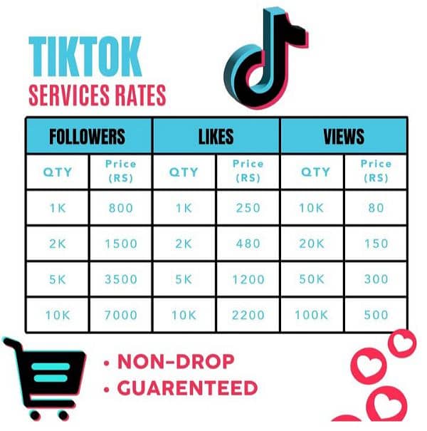 TikTok Services 0